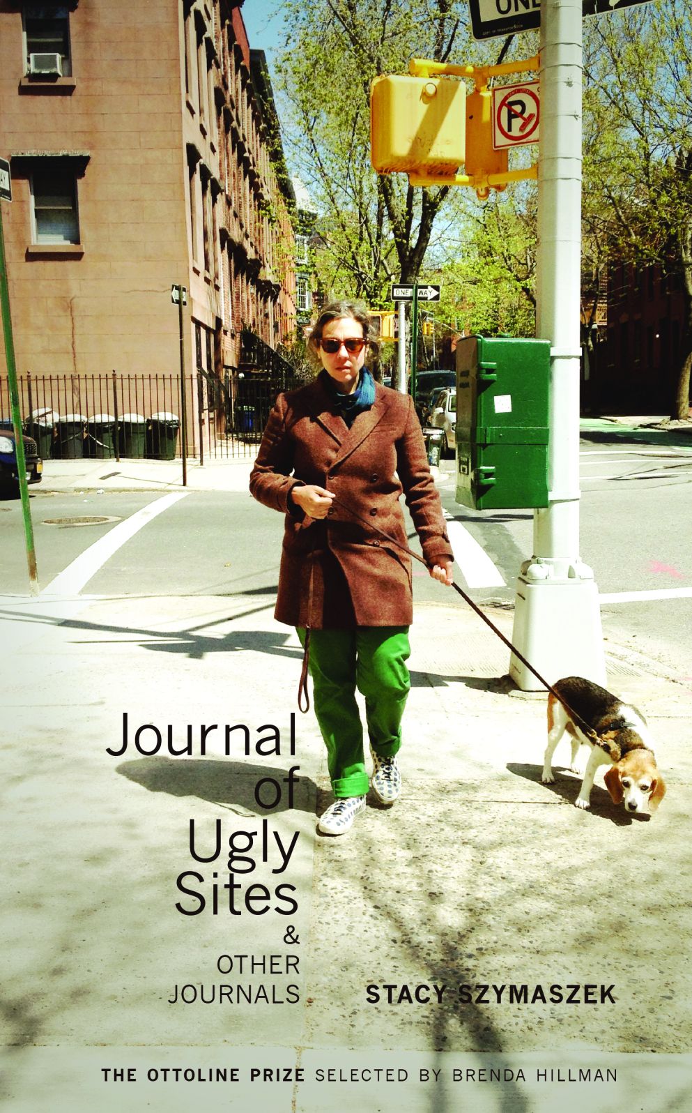 Journal of Ugly Sites and Other Journals