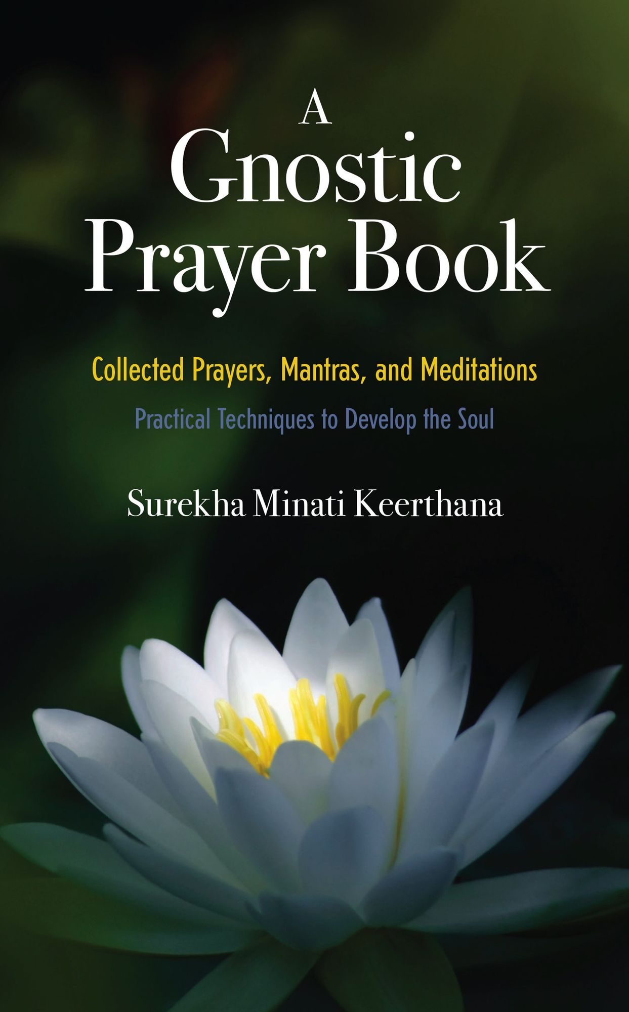 A Gnostic Prayer Book: Collected Prayers, Mantras, and Meditations