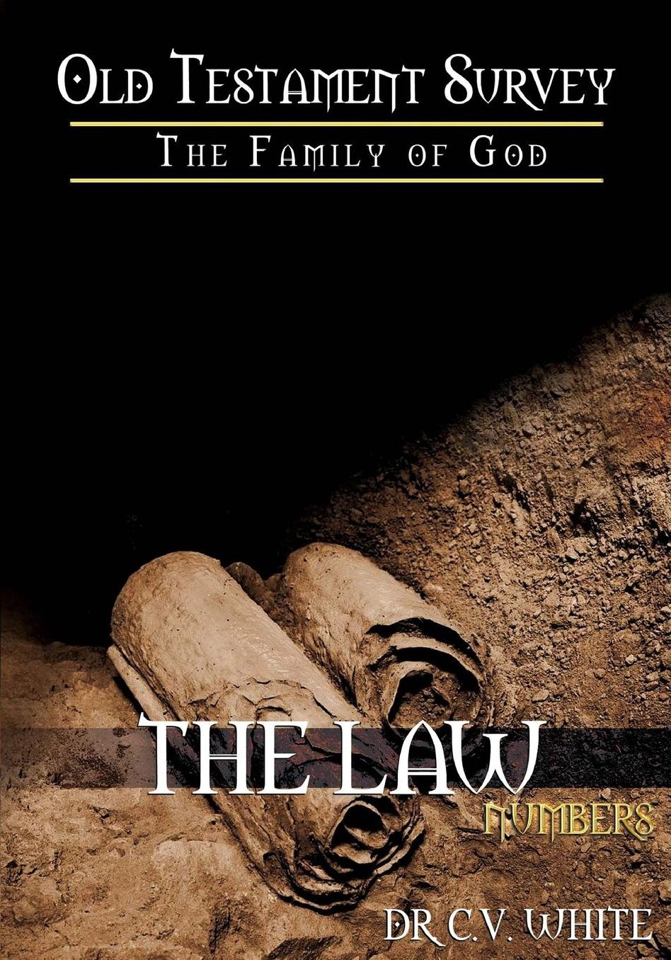 Old Testament Survey Part I: Numbers: The Journey to the Promised Land