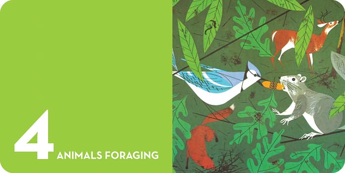 Charley Harper 123s