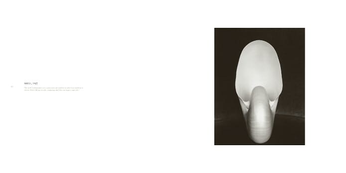 Edward Weston: 125 Photographs