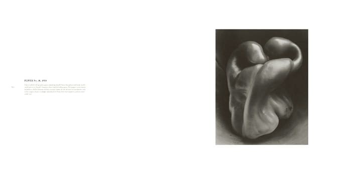Edward Weston: 125 Photographs