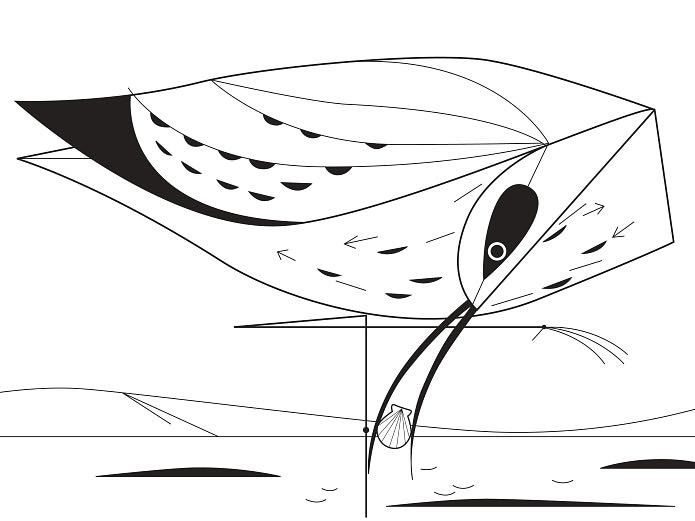 Charley Harper Coloring Book of Birds