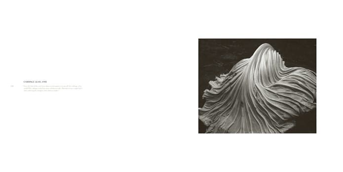 Edward Weston: One Hundred Twenty-five Photographs