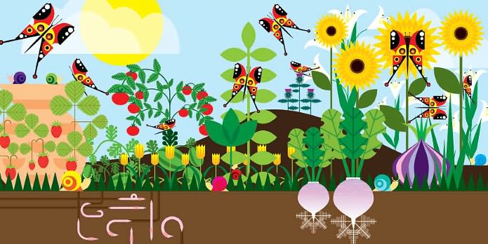 Counting in the Garden