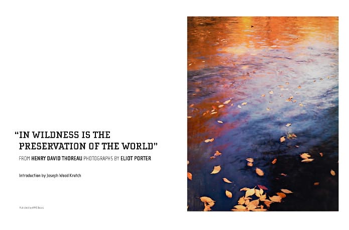 In Wildness Is the Preservation of the World