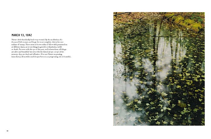 In Wildness Is the Preservation of the World
