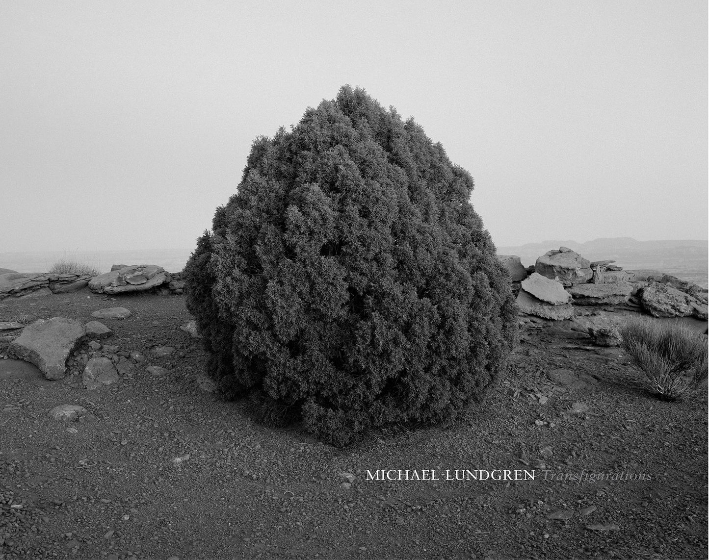 Michael Lundgren: Transfigurations