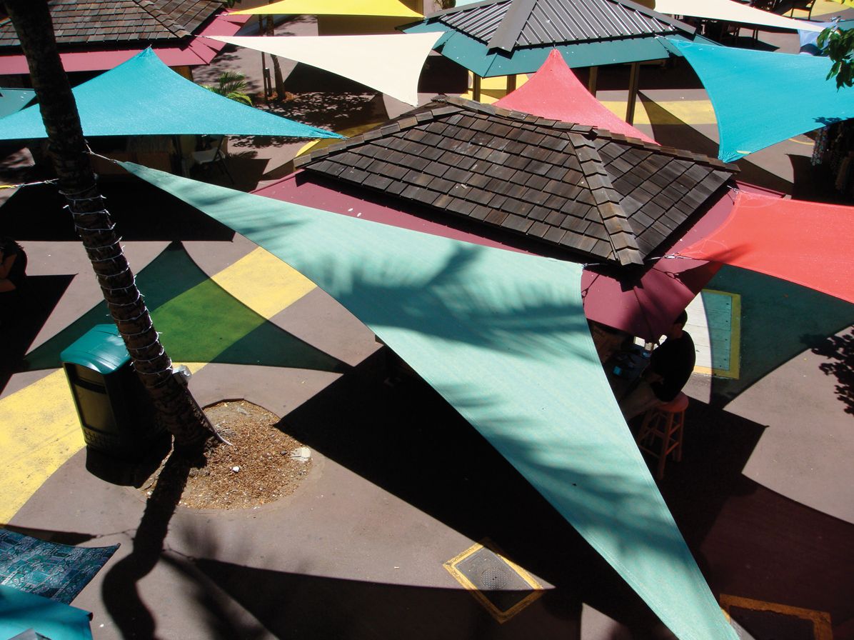 Betsy Karel: Conjuring Paradise