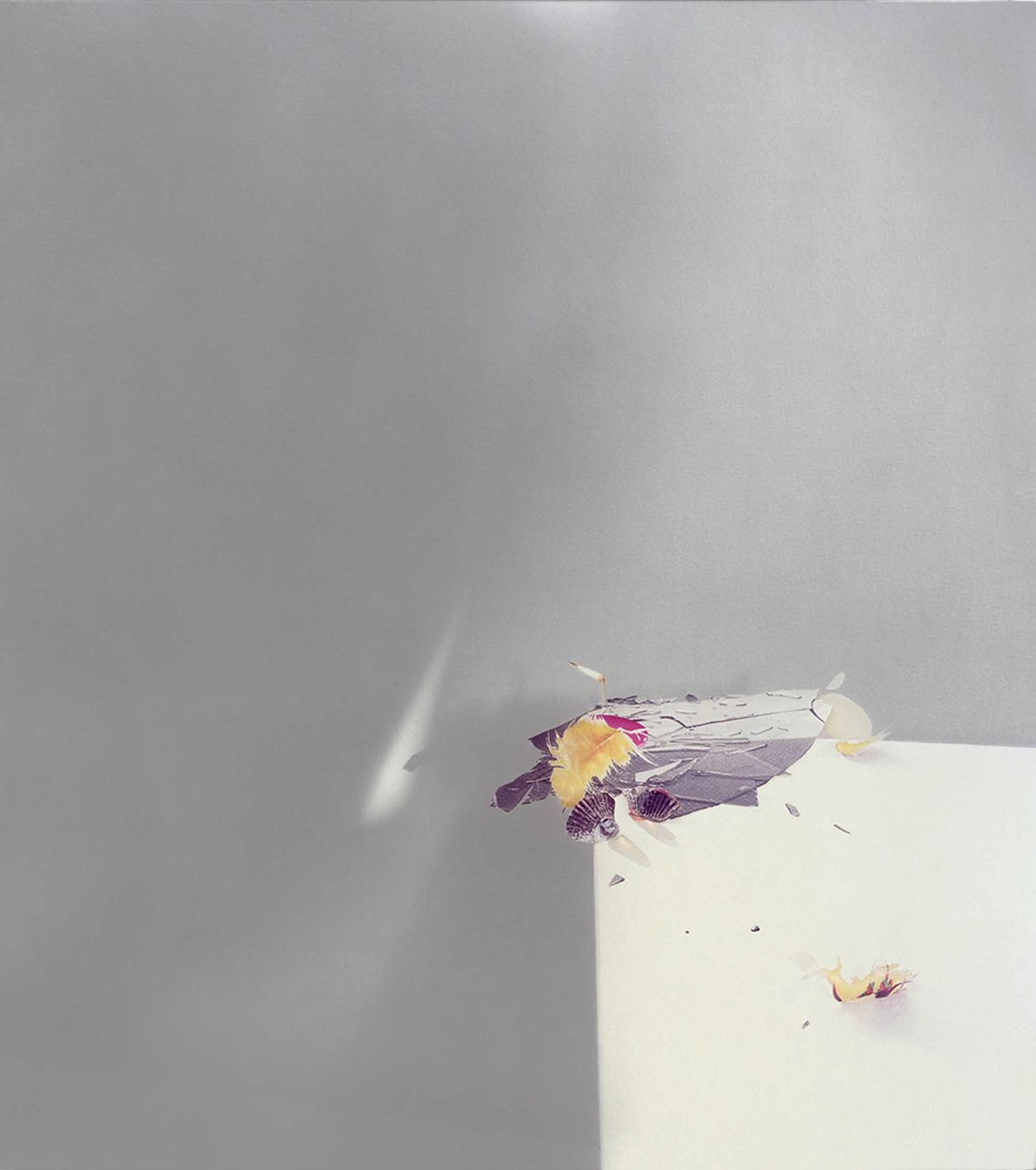 Laura Letinsky: Ill Form & Void Full