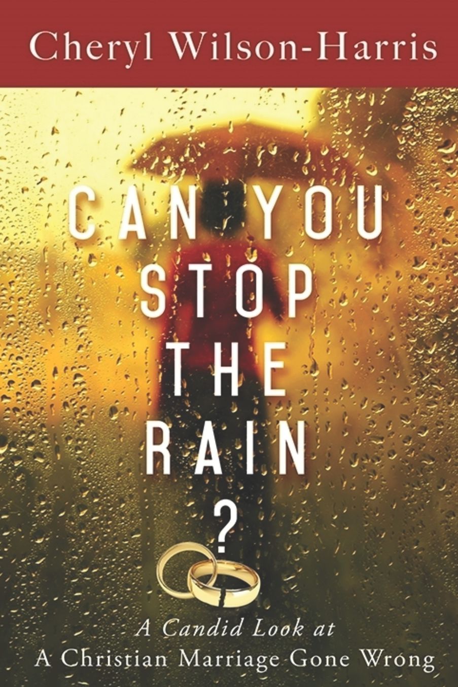 Can You Stop the Rain?: A Candid Look at a Christian Marriage Gone Wrong