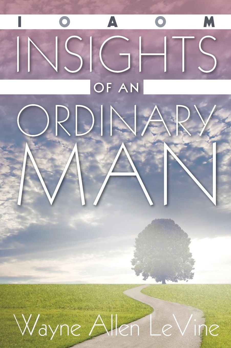 Insights of an Ordinary Man: 2016 Edition