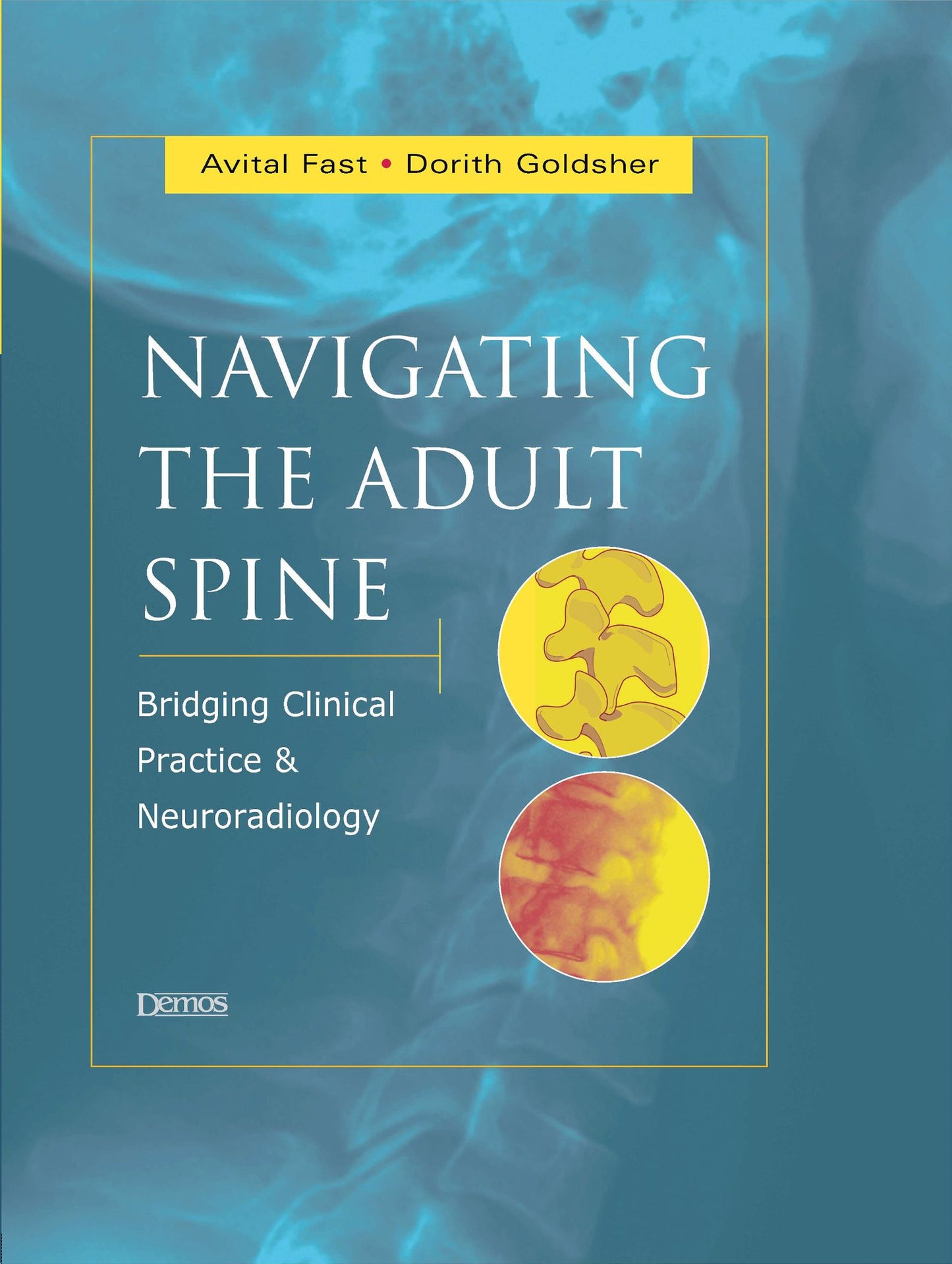 Navigating the Adult Spine: Bridging Clinical Practice and Neuroradiology