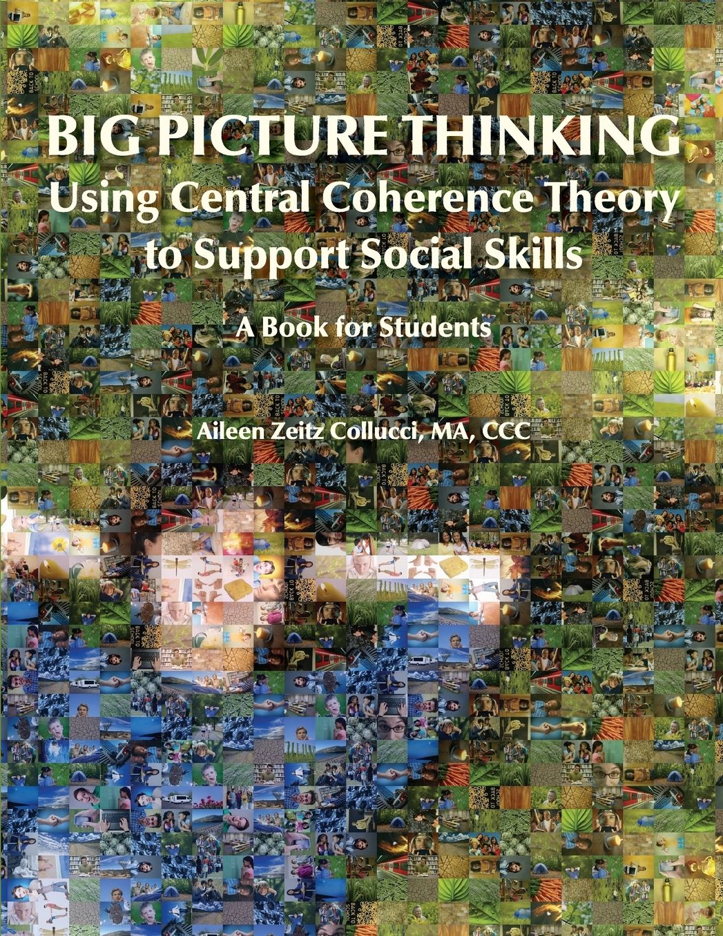 Big Picture Thinking: A Book for Students: Using Central Coherence Theory to Support Social Skills