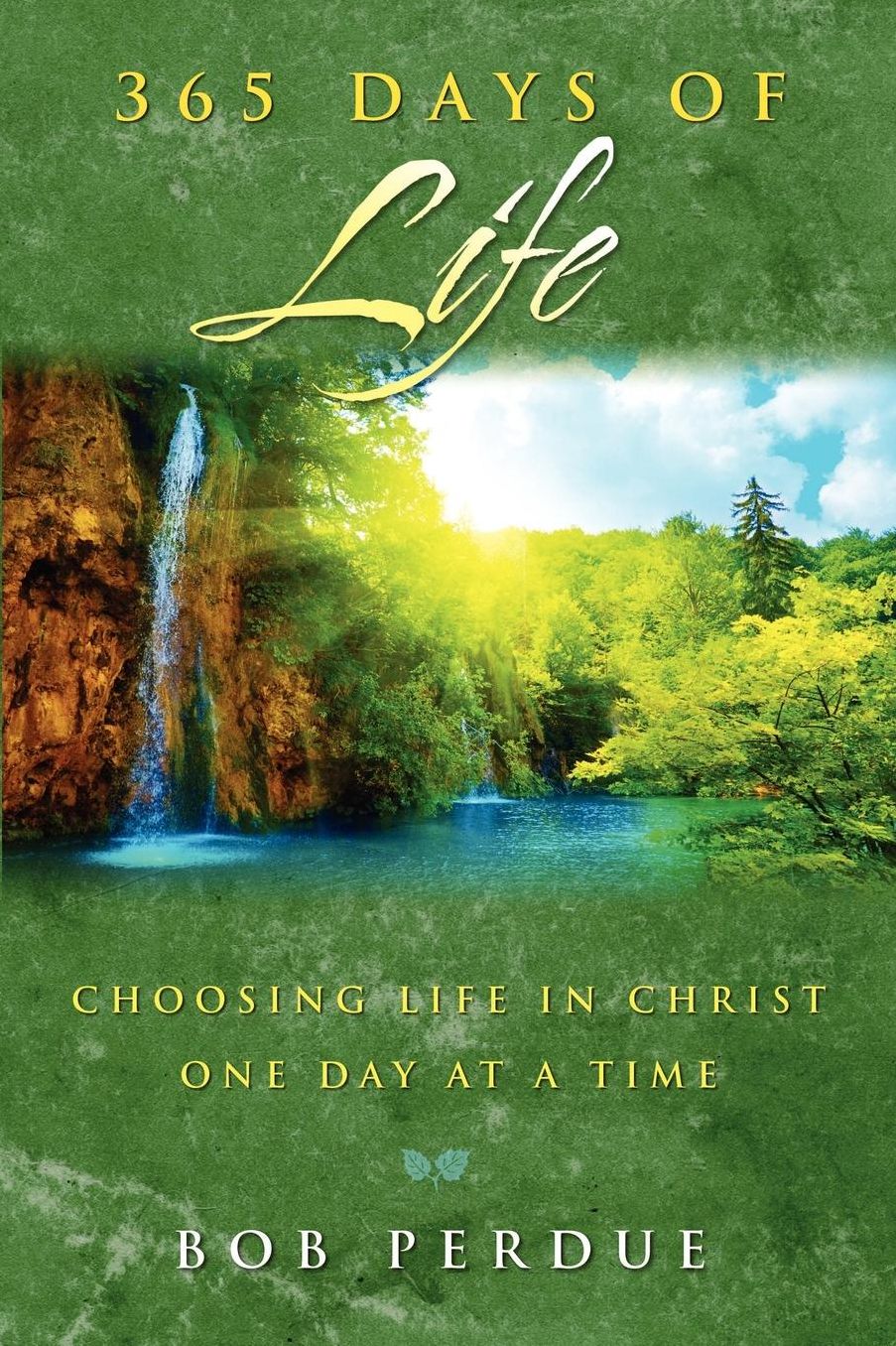 365 Days Of Life