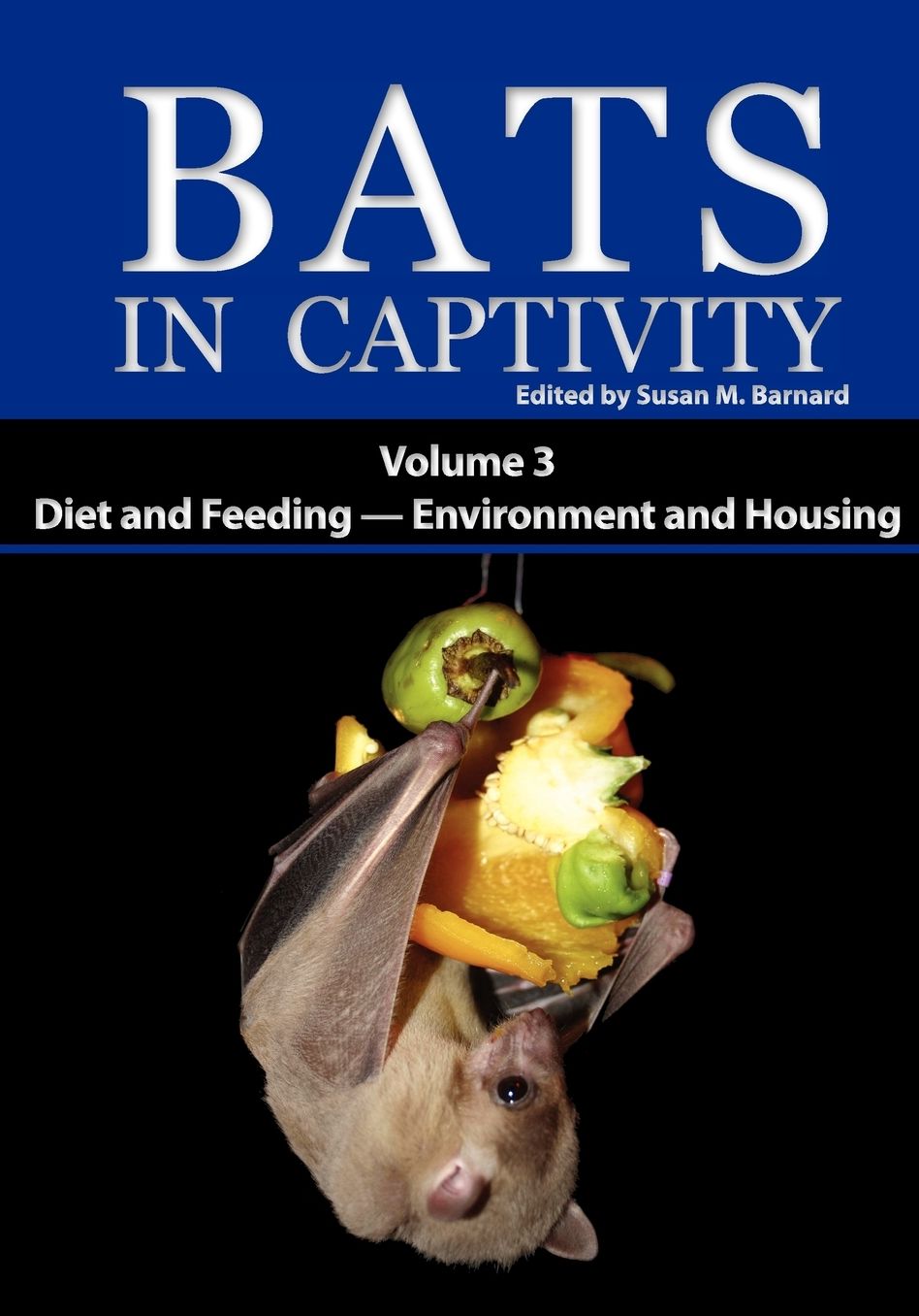 Bats In Captivity