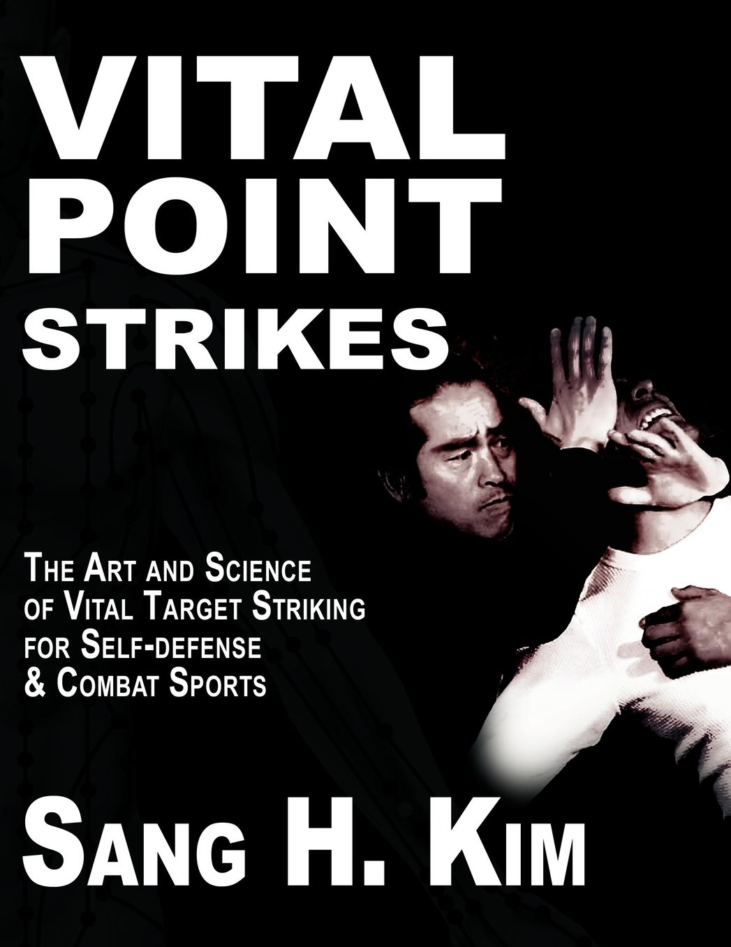Vital Point Strikes: The Art and Science of Striking Vital Targets for Self-Defense and Combat Sports