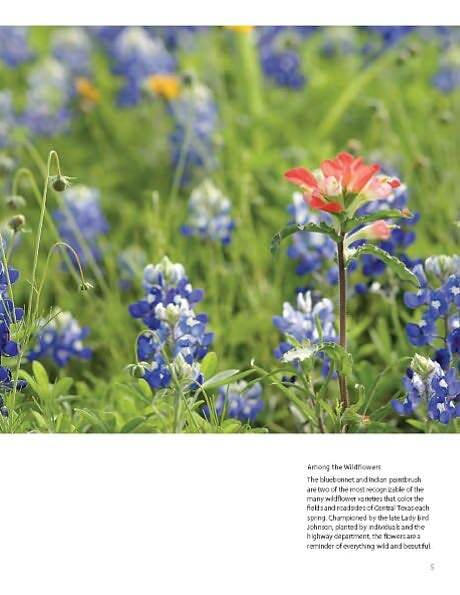 Austin, Texas: A Photographic Portrait