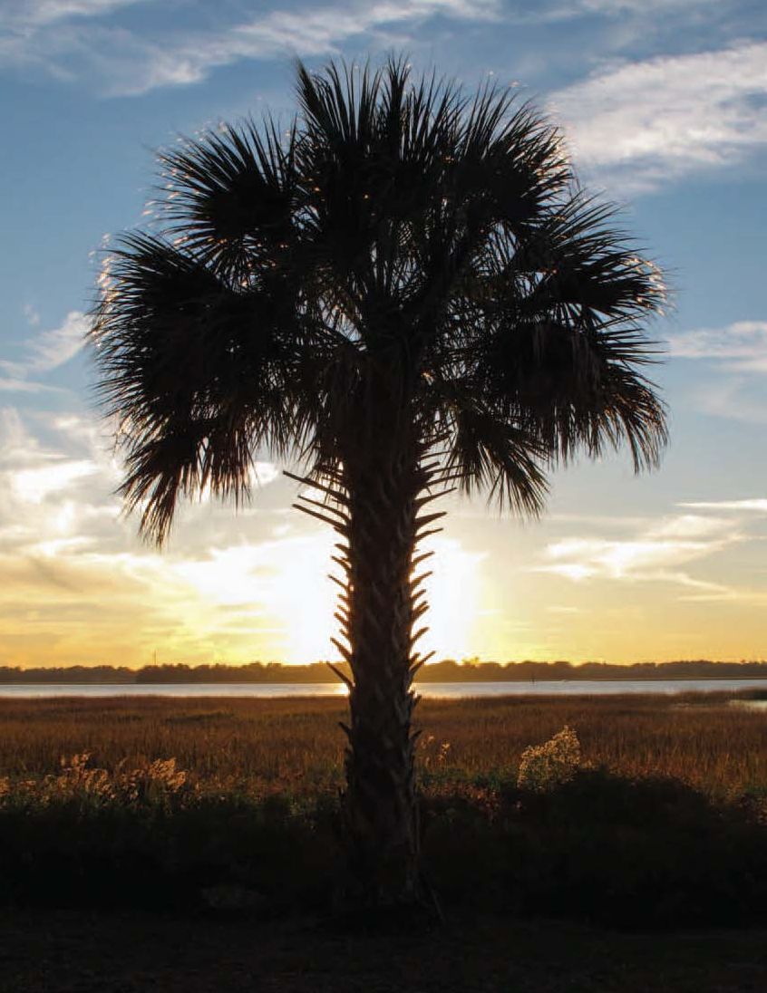 Charleston, South Carolina: A Photographic Portrait