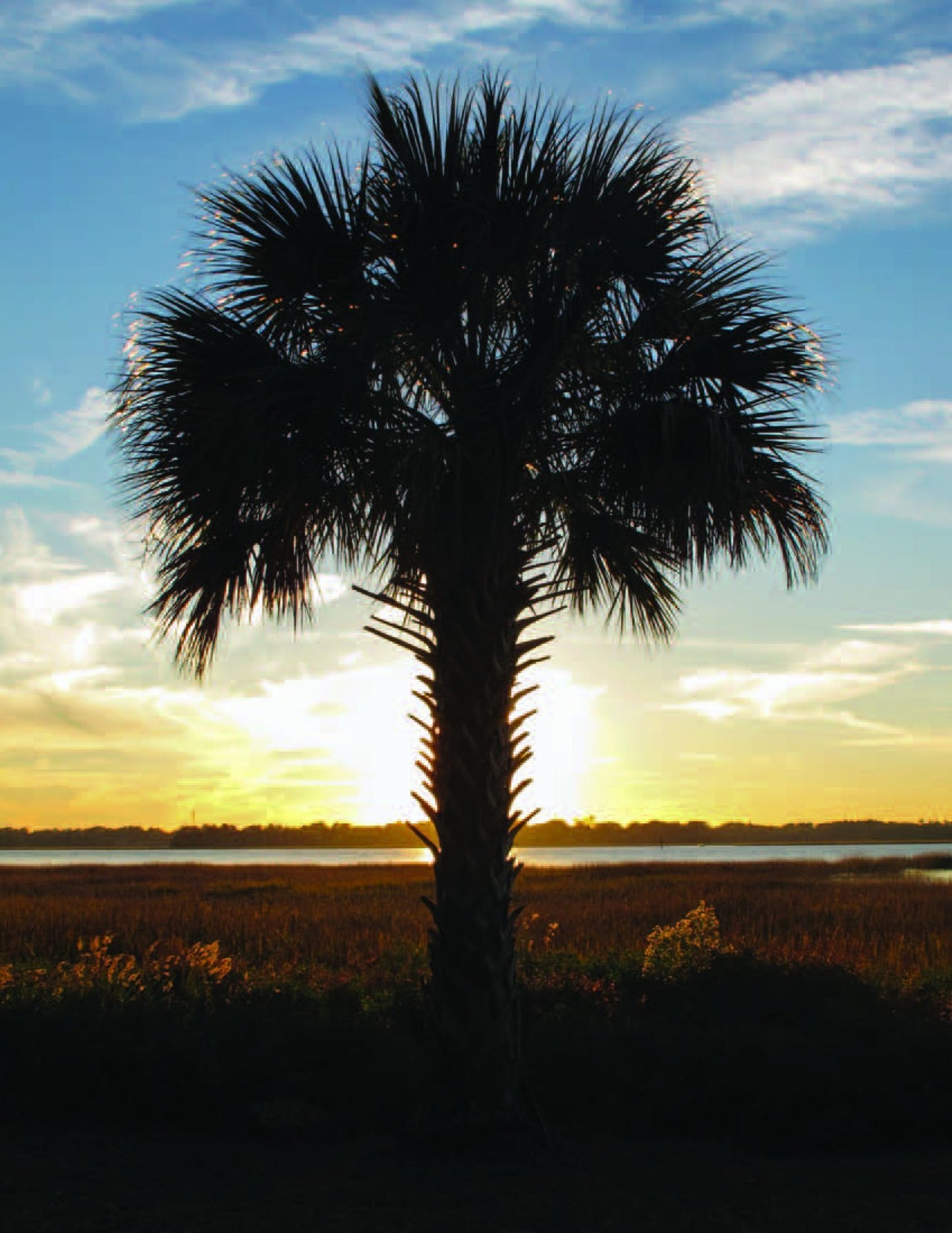 Charleston, South Carolina: A Photographic Portrait