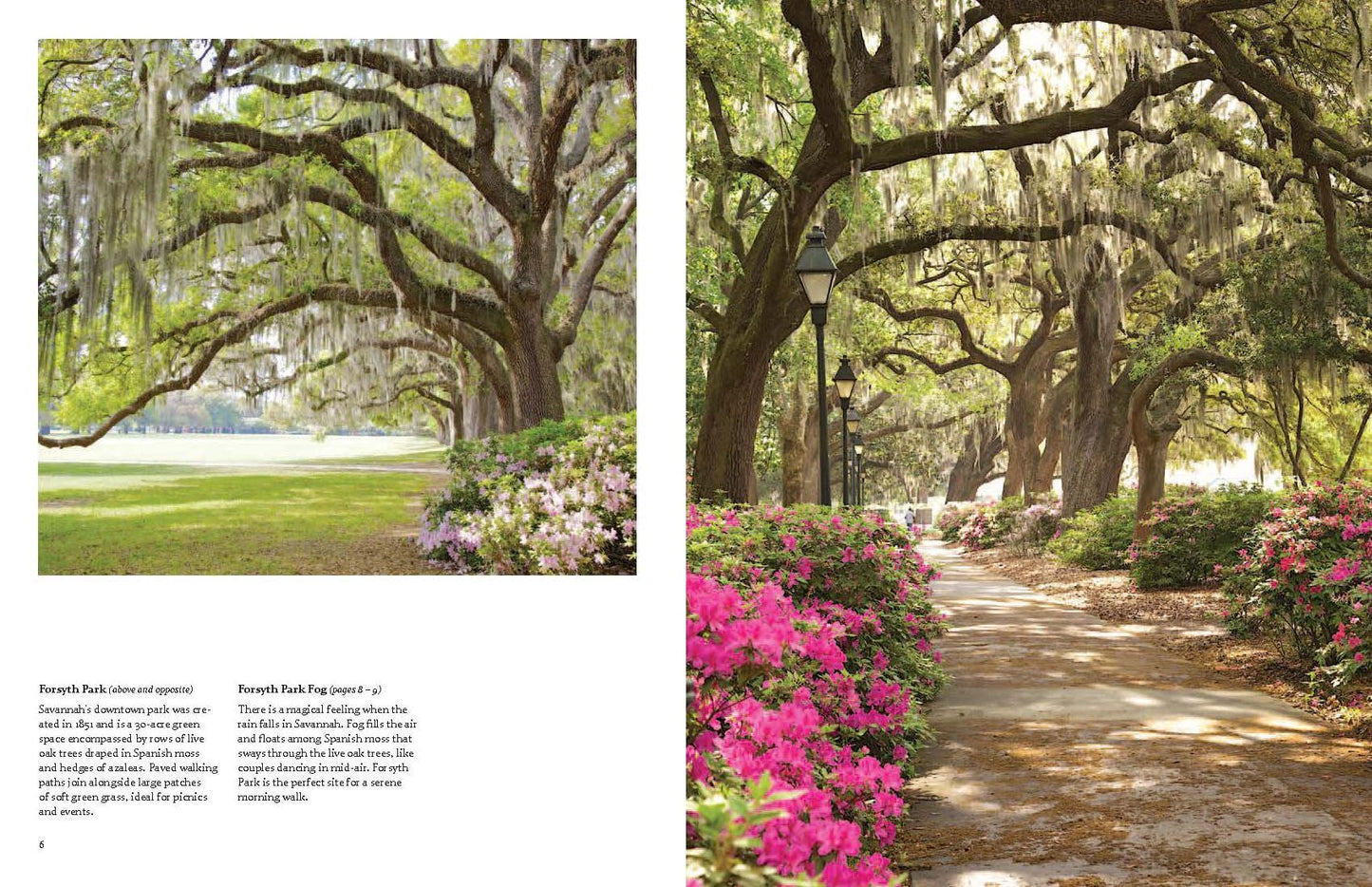 Savannah: A Photographic Portrait