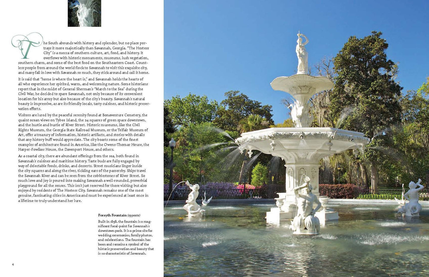 Savannah: A Photographic Portrait