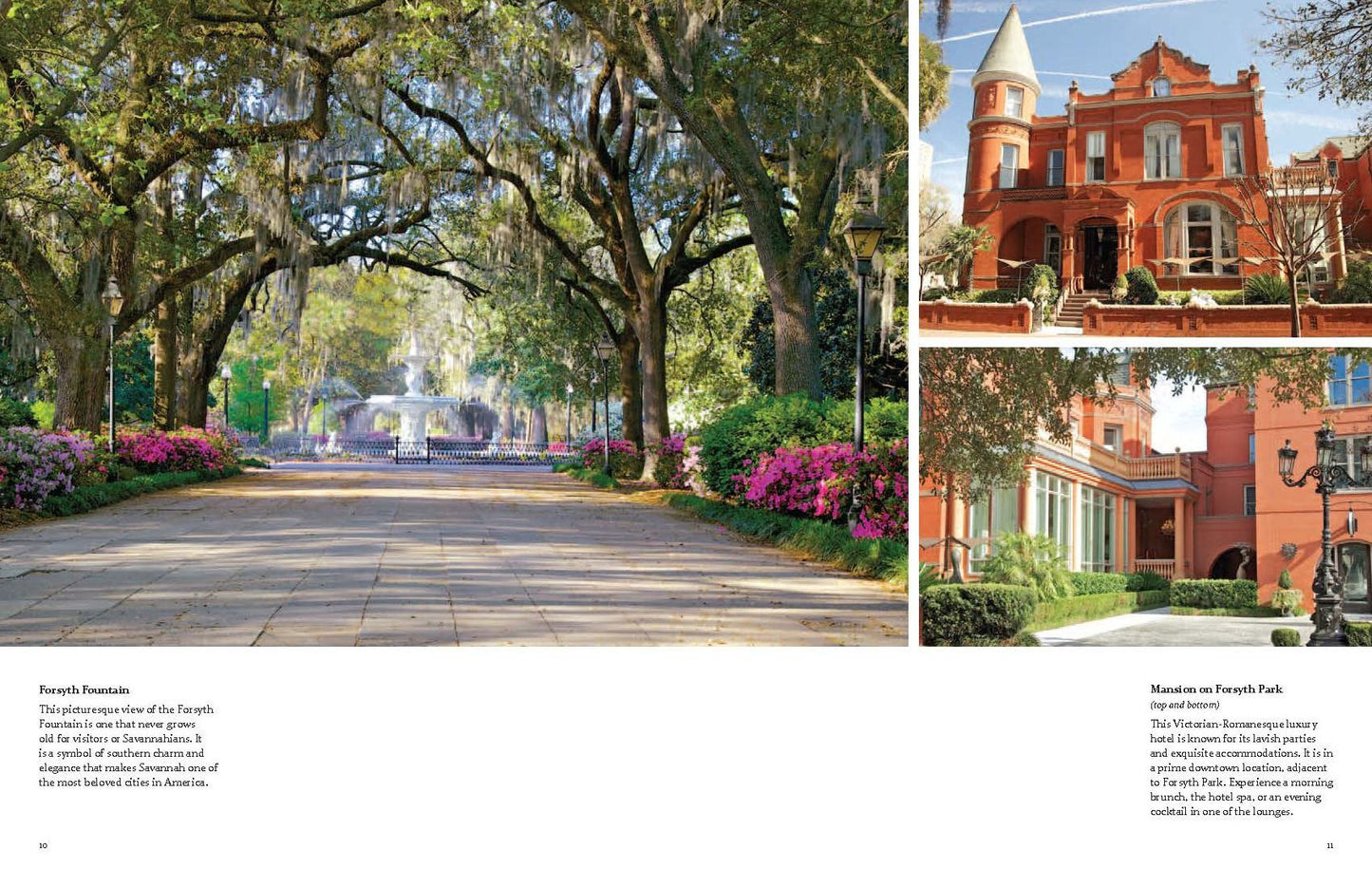Savannah: A Photographic Portrait