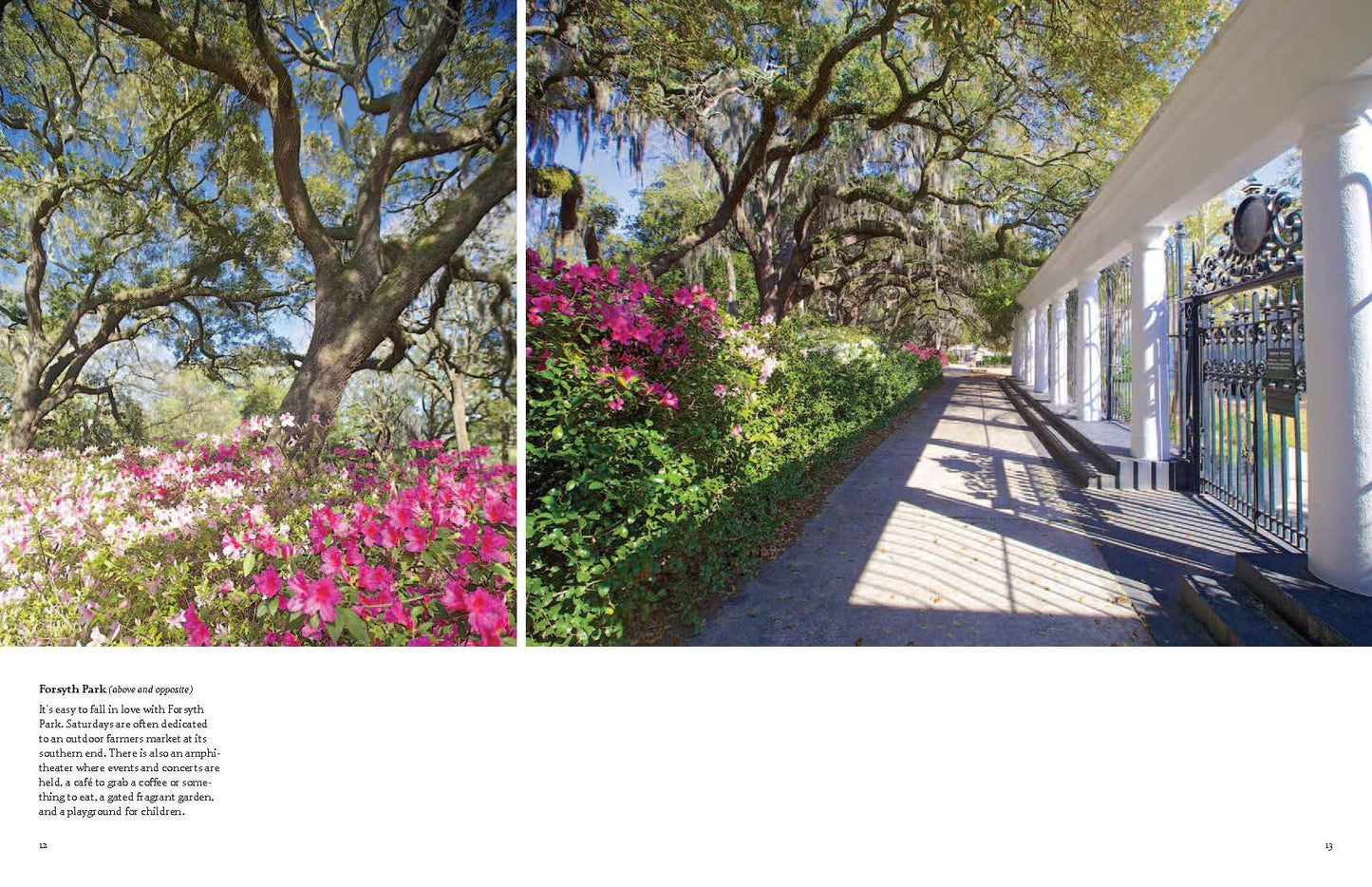 Savannah: A Photographic Portrait