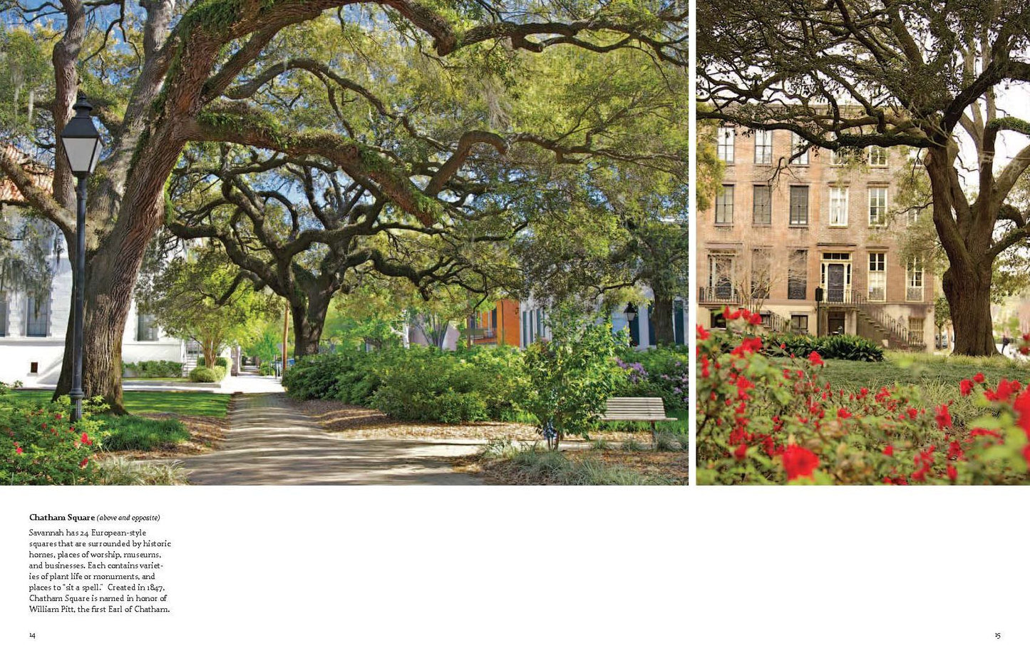 Savannah: A Photographic Portrait