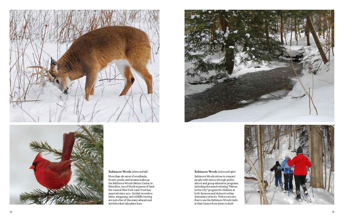 The Finger Lakes Region: A Photographic Portrait