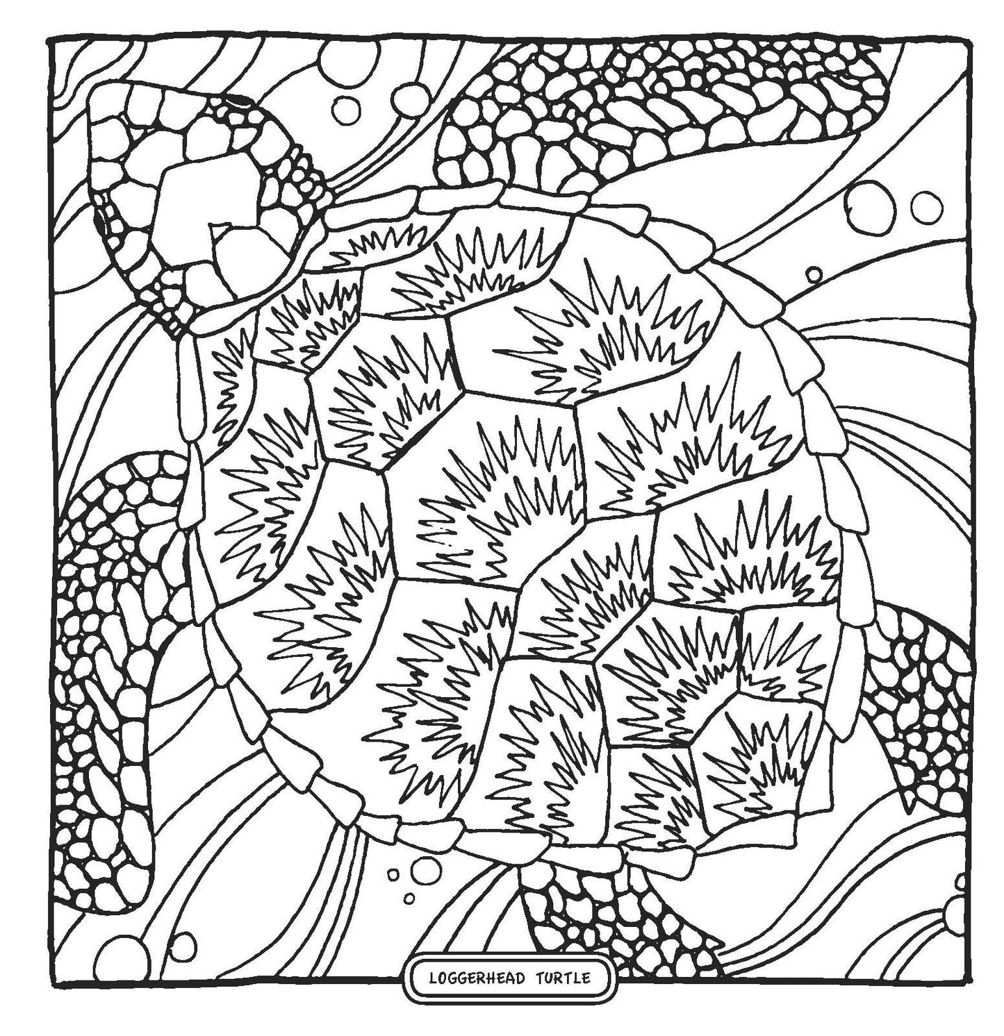 Enchanting Charleston Adult Coloring Discoveries