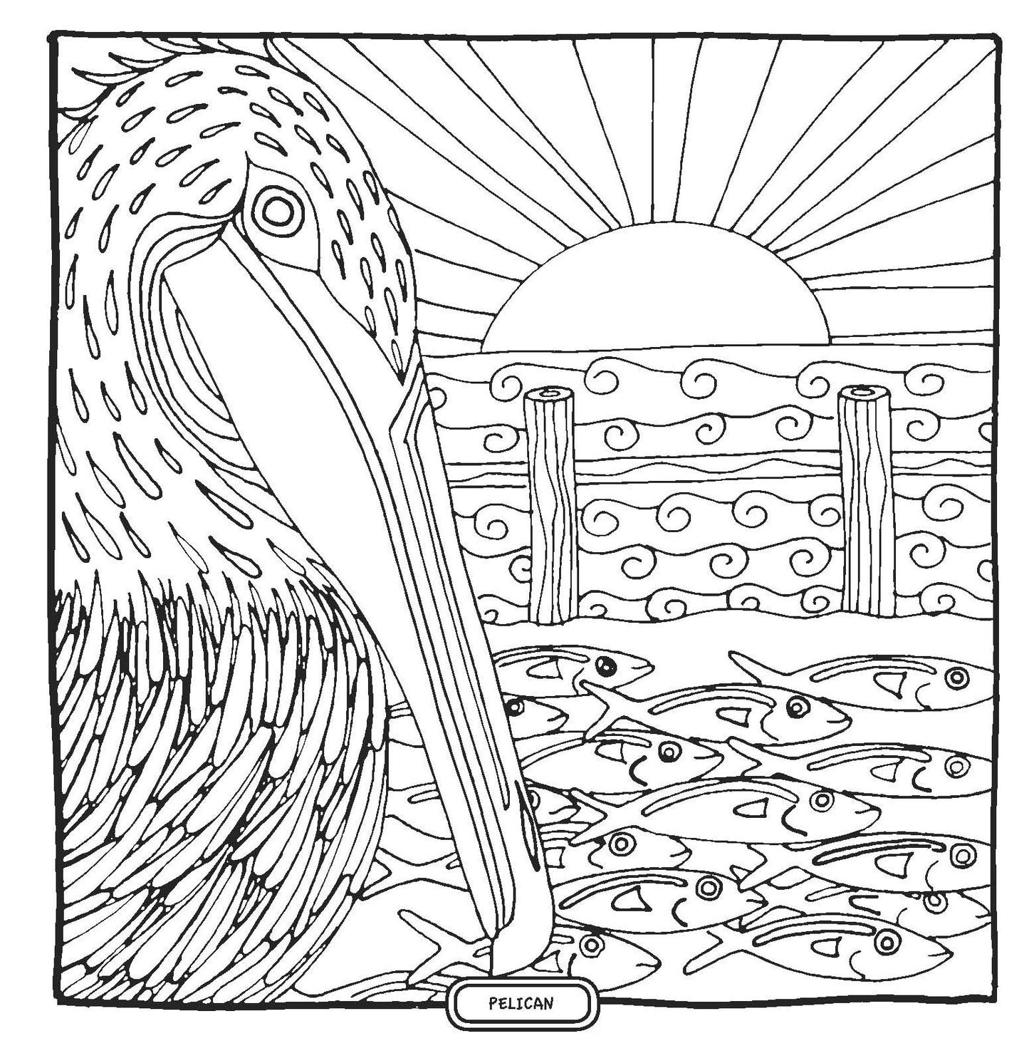 Enchanting Charleston Adult Coloring Discoveries