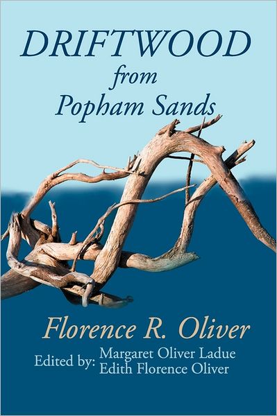 Driftwood From Popham Sands