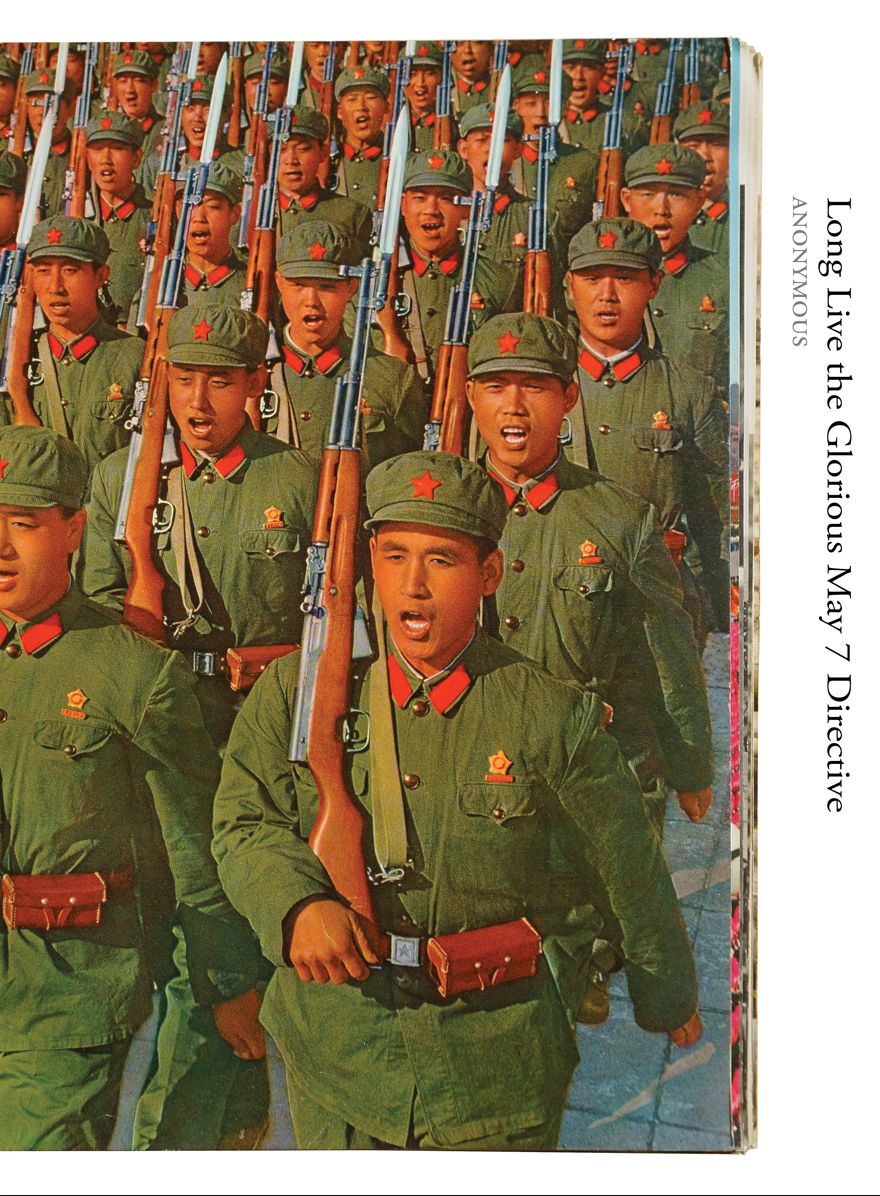 Long Live the Glorious May 7 Directive: Books on Books No. 20