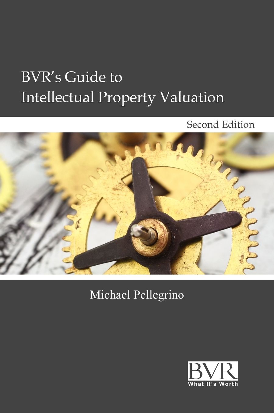 BVR's Guide to Intellectual Property Valuation - Second Edition