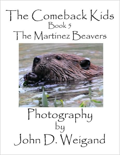 The Comeback Kids, Book 5, The Martinez Beavers