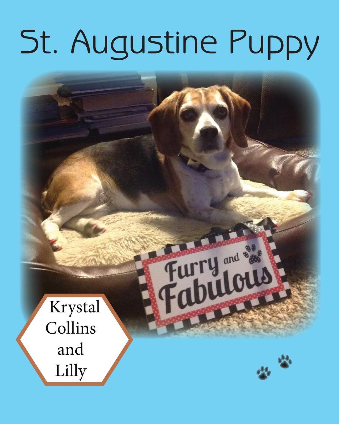 St. Augustine Puppy