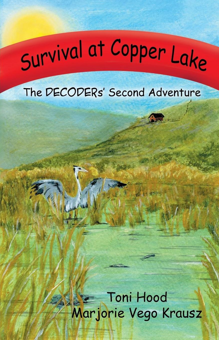 Survival at Copper Lake: The DECODERs Second Adventure