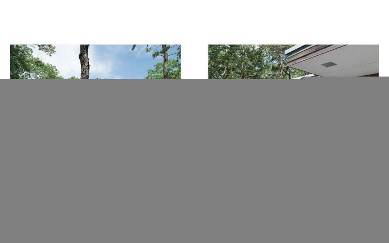 Cape Cod Modern: Midcentury Architecture and Community on the Outer Cape
