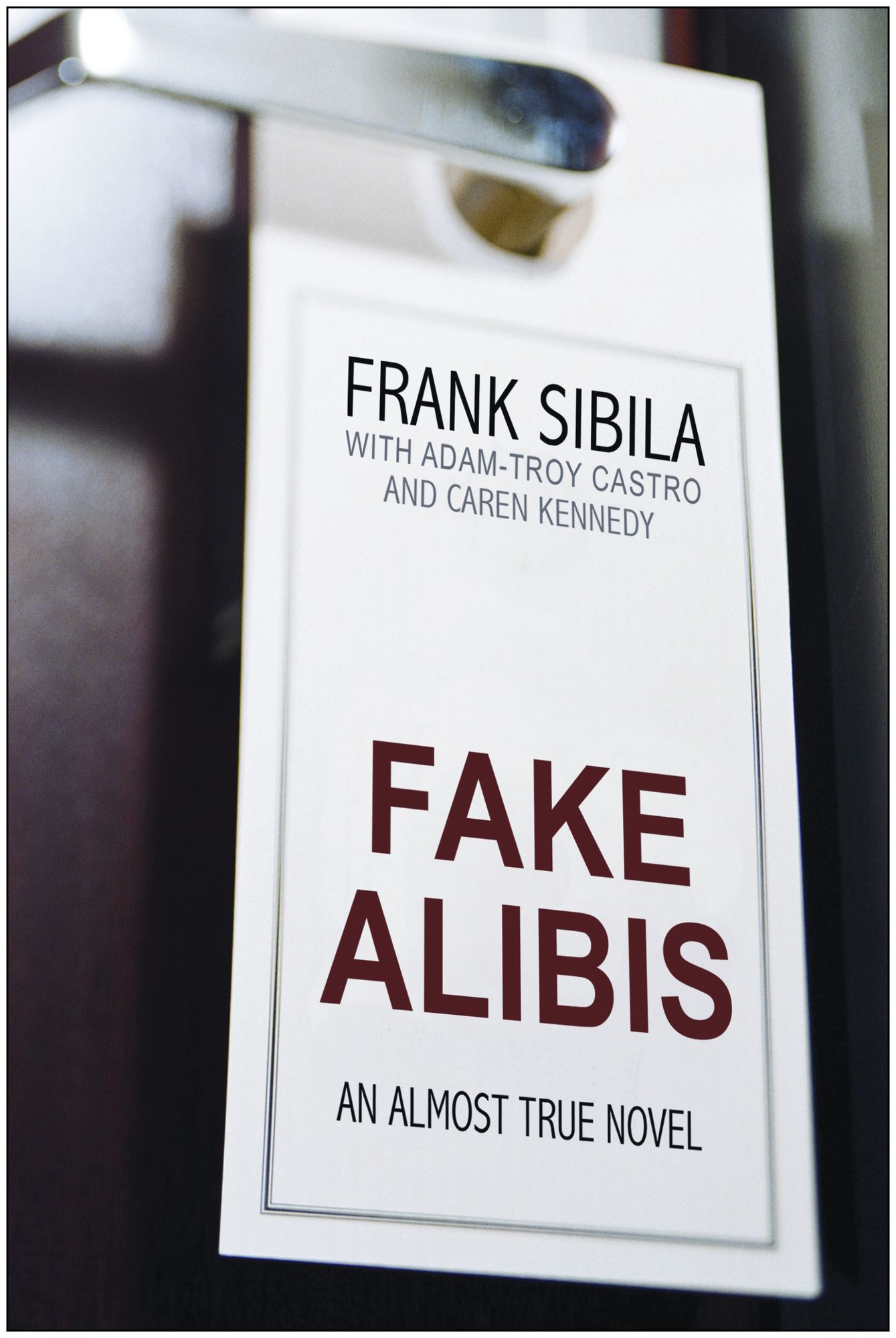 Fake Alibis: An Almost True Novel