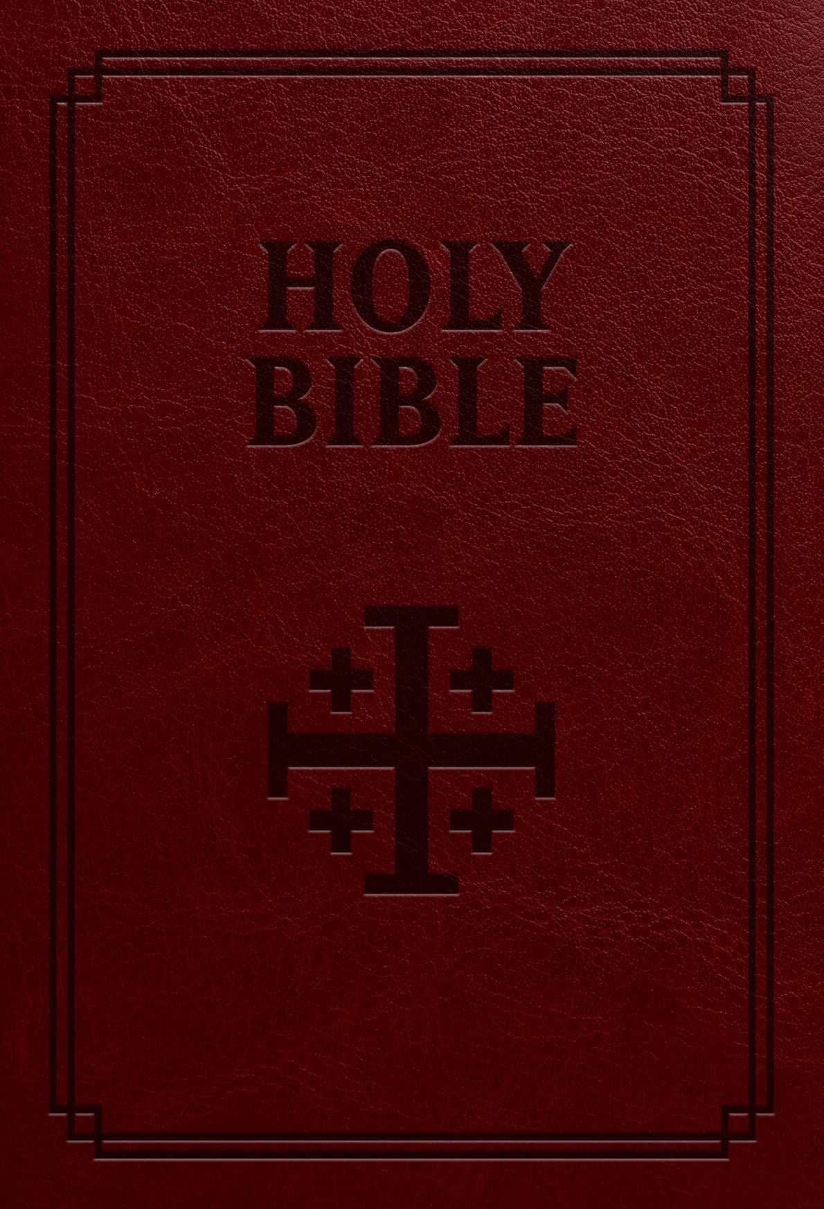 The Holy Bible Douay Rheims Version: Standard Size Leather-Soft Burgundy