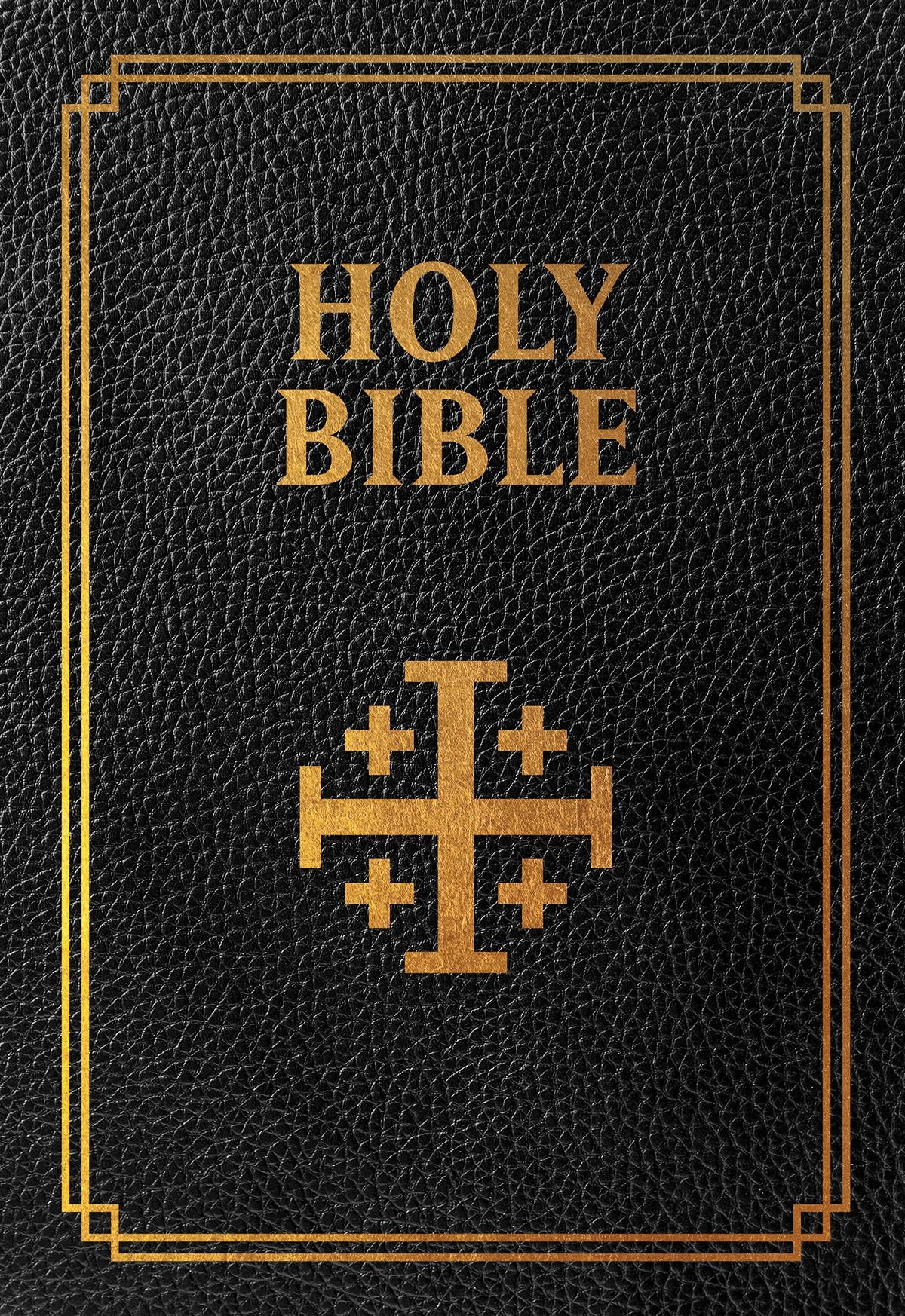 The Holy Bible Douay Rheims Version: Standard Size Leather Black