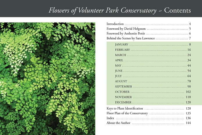 Flowers of Volunteer Park Conservatory: Blooming Month by Month