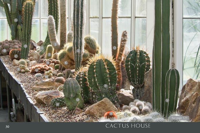 Flowers of Volunteer Park Conservatory: Blooming Month by Month