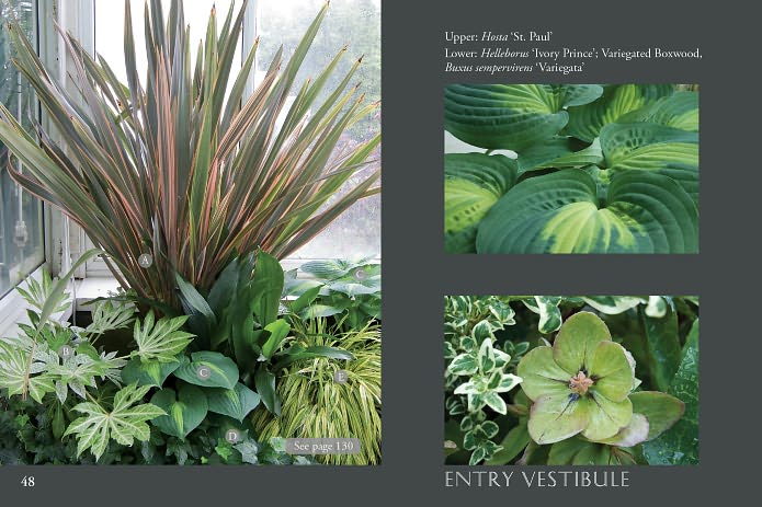 Flowers of Volunteer Park Conservatory: Blooming Month by Month