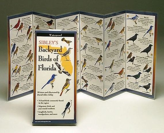 Sibley's Backyard Birds of Florida