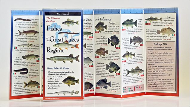 Fishes of the Great Lakes Region