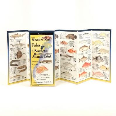 Wreck & Reef Fishes of the Southeastern Atlantic Coast