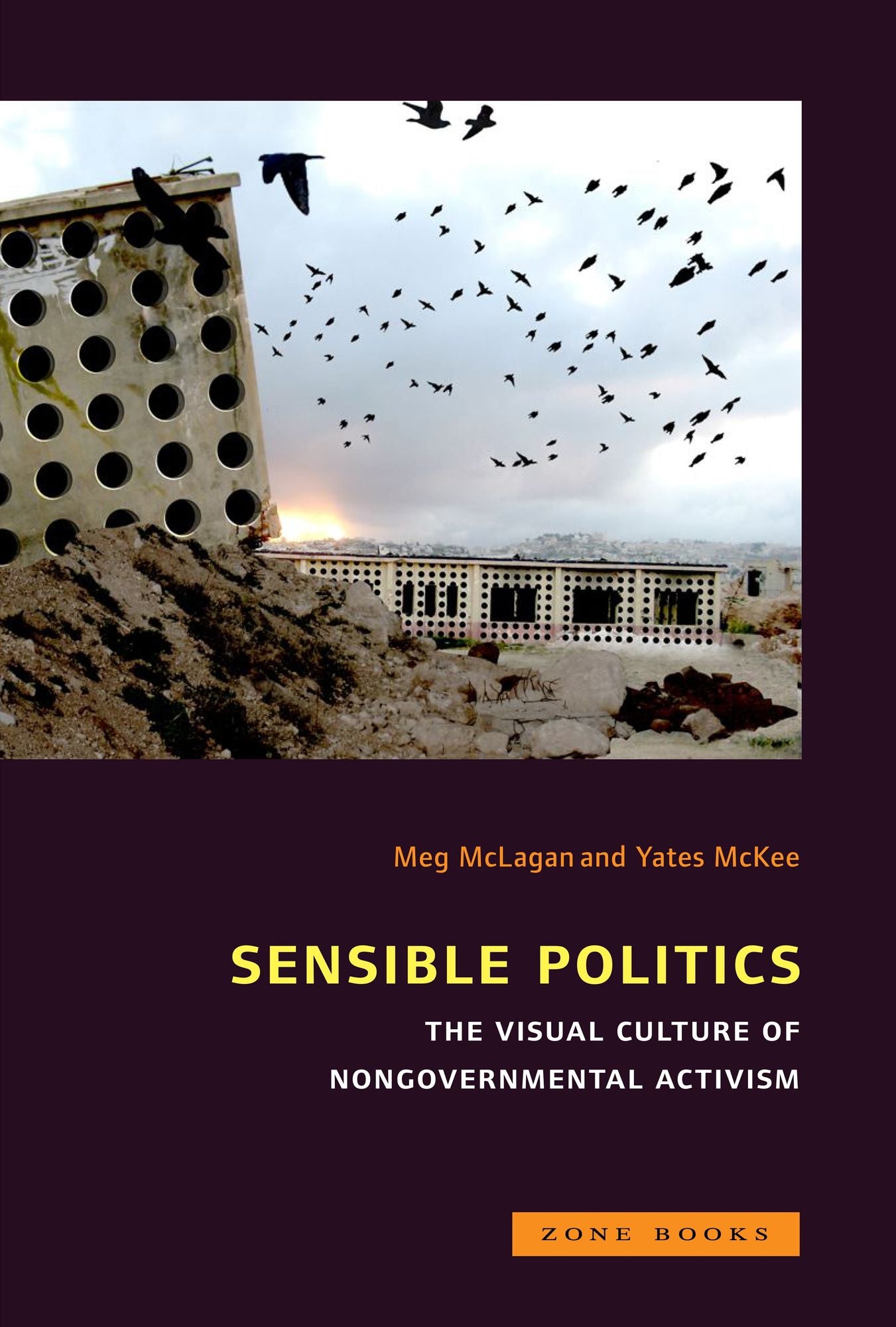 Sensible Politics: The Visual Culture of Nongovernmental Activism