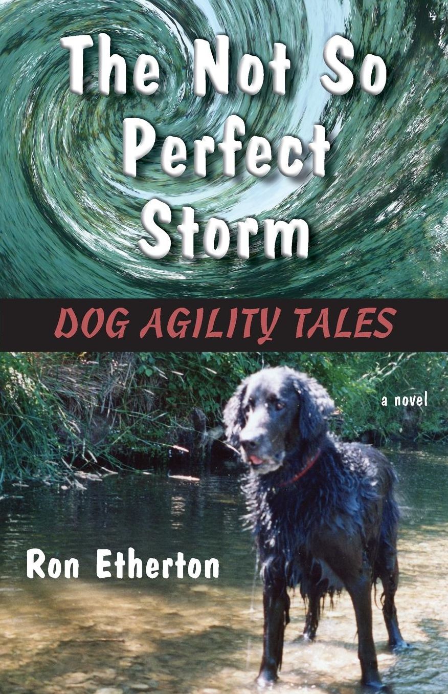 The Not So Perfect Storm: Dog Agility Tales
